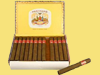 Cuban Partagas Mille Feurs brand